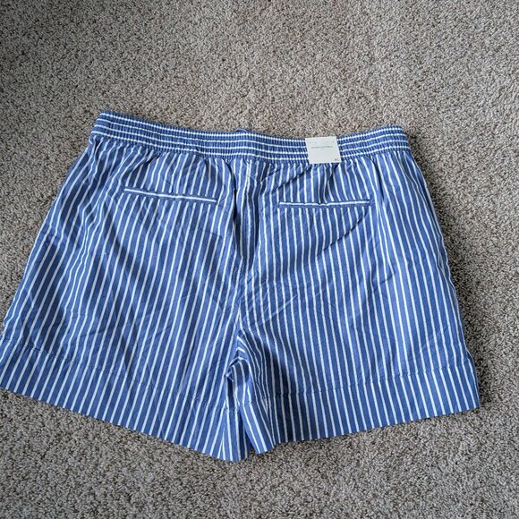 Banana Republic Blue and White Striped Cotton Shorts - Picture 7 of 7